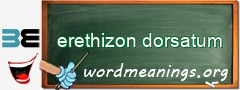 WordMeaning blackboard for erethizon dorsatum